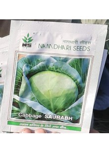 Saurabh Cabbage